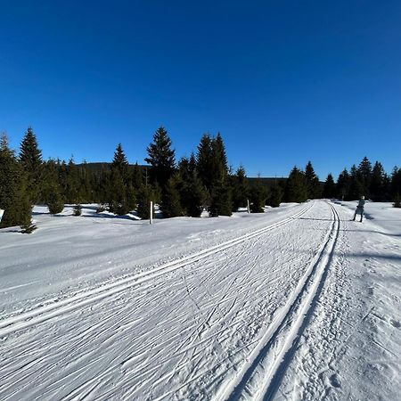 Izerina Cottage Horní Maxov エクステリア 写真
